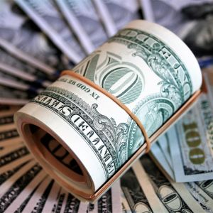 How to become a company distributor